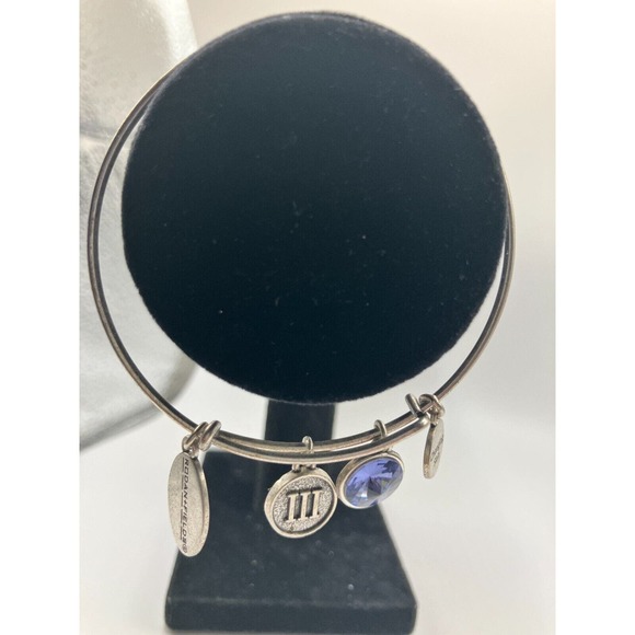 Rodan + Fields Charm Silver-Tone Bangle Bracelet! - Picture 2 of 15